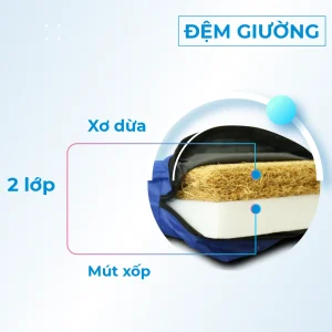 Giường y tế điều khiển bằng remote HAKAWA HK-D95