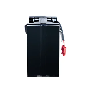 Pin ắc quy xe lăn điện HK-XD23
