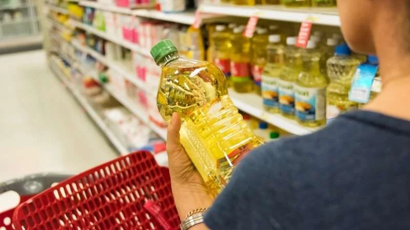 Dầu hạt cải là gì? Sử dụng có tốt cho sức khoẻ hay không 22 Các thương hiệu dầu hạt cải