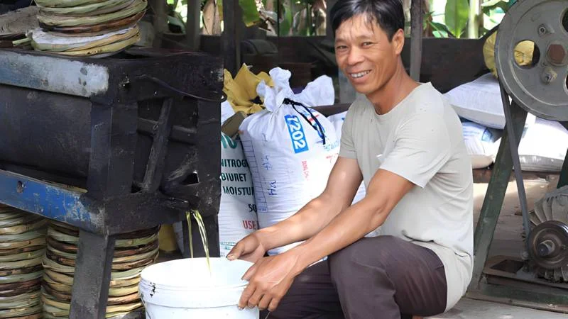 Cách ép dầu lạc tại nhà vô cùng đơn giản 10 Ép dầu lạc thủ công