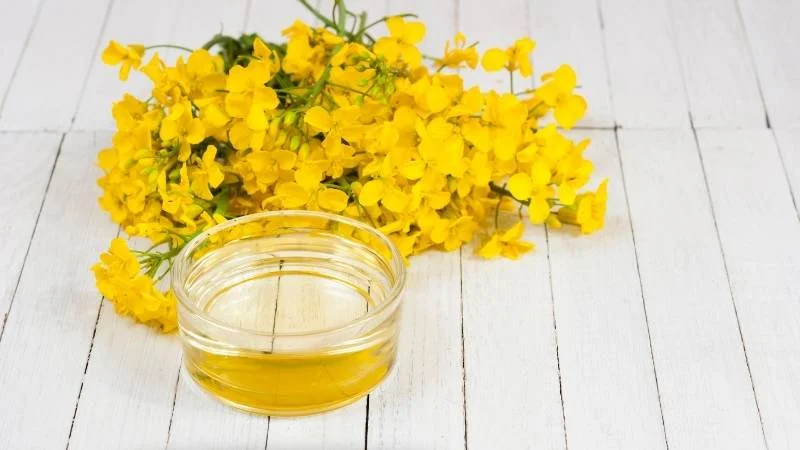 Dầu hạt cải có tốt không? Công dụng và tác hại của chúng 18 Dầu hạt cải giúp giảm cholesterol và nguy cơ mắc bệnh tim mạch