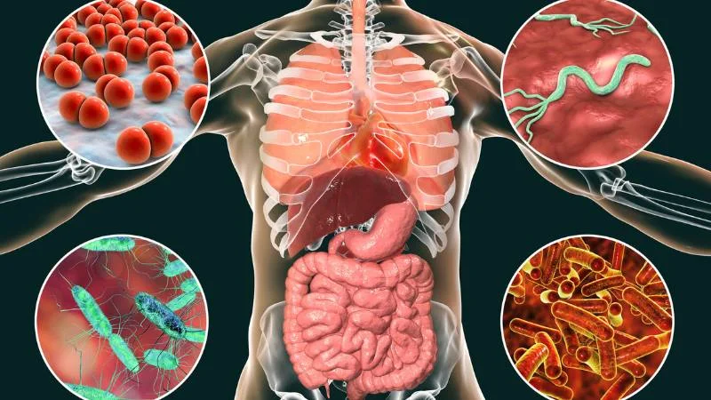 Dầu đậu phộng có tốt không? 9 tác dụng tuyệt vời 22 Dầu đậu phộng có thể giúp kiểm soát cân nặng