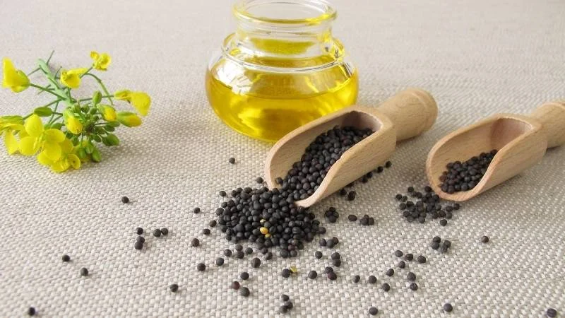 Dầu hạt cải có tốt không? Công dụng và tác hại của chúng 19 Dầu hạt cải cung cấp chất béo bão hòa cần thiết cho cơ thể