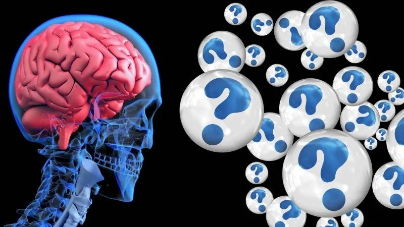 Dầu hạt cải có tốt không? Công dụng và tác hại của chúng 26 Dầu hạt cải có thể gây suy giảm trí nhớ và chức năng não