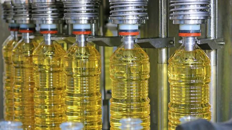 Dầu hướng dương có tốt không? Công dụng và tác hại 13 Dầu hướng dương được ép công nghiệp