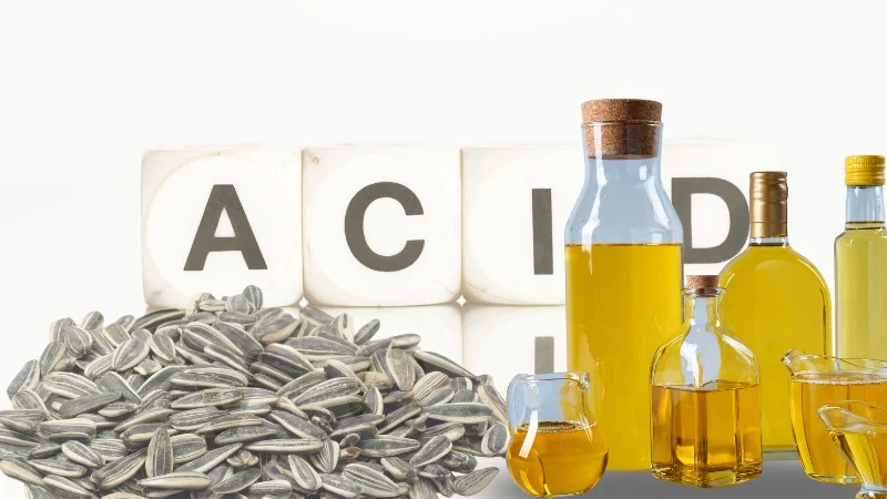 Dầu hướng dương có tốt không? Công dụng và tác hại 14 Dầu hướng dương phân loại theo thành phần chất béo