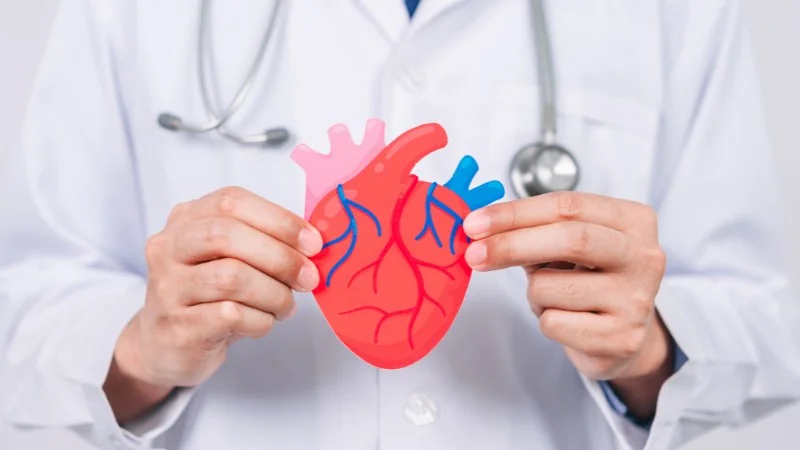 Dầu mè là gì? Bật mí công dụng tuyệt vời của dầu mè 6 Dầu mè có khả năng hỗ trợ sức khỏe tiêu hóa và tăng cường hệ miễn dịch cho cơ thể