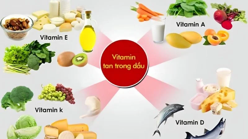 “Dầu thực vật có tốt không?” - Bật mí 10 công dụng của dầu thực vật 22 Dầu thực vật hỗ trợ cơ thể hấp thụ các Vitamin tan trong dầu