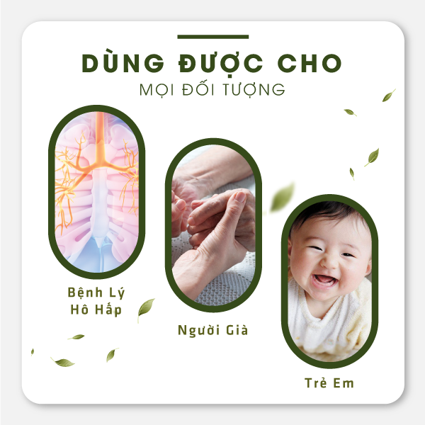 Máy xông khí dung kết hợp TINH DẦU TRÀM HAKAWA 17 Máy tạo oxy dùng cho các trường hợp bị bệnh lý đường hô hấp, dùng cho cả người lớn tuổi và trẻ em