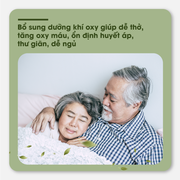 Máy xông khí dung kết hợp TINH DẦU TRÀM HAKAWA 20 Máy tạo oxy bổ sung dưỡng khí oxy giúp dễ thở, tăng oxy máu, ổn định huyết áp, thư giãn dễ ngủ