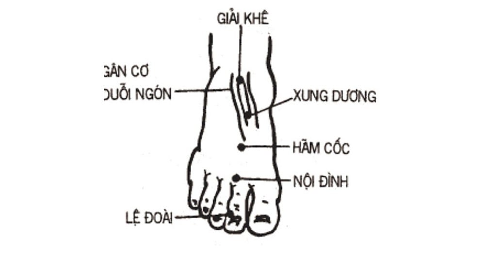 Huyệt lòng bàn chân và bí quyết massage bấm huyệt 27 Huyệt giải khê