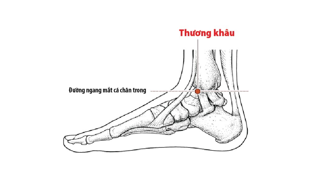 Huyệt lòng bàn chân và bí quyết massage bấm huyệt 22 Huyệt lòng bàn chân