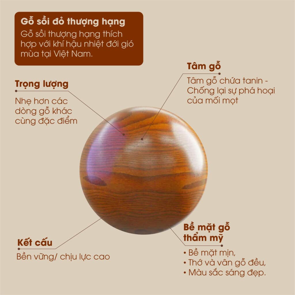 Võng gỗ sồi hoàng gia HAKAWA HK-V38 lưới trắng 8 Khung gỗ sồi thượng hạng