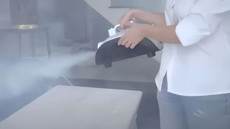 16 cách đuổi gián ra khỏi nhà vĩnh viễn, an toàn, hiệu quả 48 Máy khử mùi, khử khuẩn có thật sự đuổi được gián?