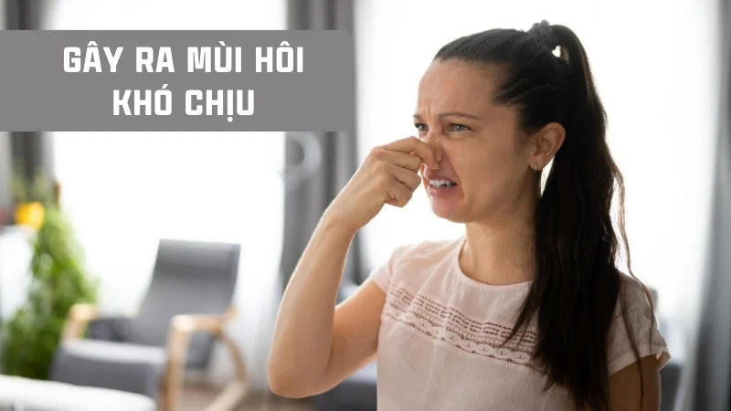 7 tác hại của máy lọc không khí. Có nên mua hay không? 18 Máy lọc không khí cũ gây ra mùi hôi khó chịu