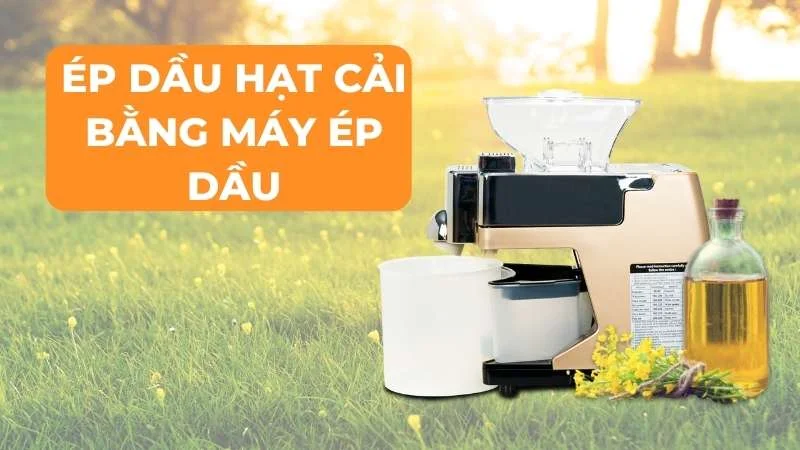 Dầu hạt cải là gì? Sử dụng có tốt cho sức khoẻ hay không 26 Nên sử dụng dầu hạt cải tinh khiết tự ép bằng máy tại nhà
