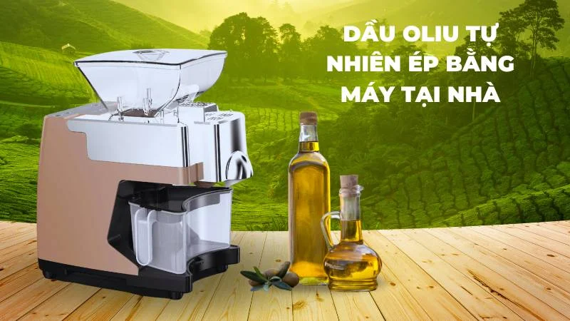 Bôi dầu oliu lên mặt qua đêm có tốt không? 30 Nên sử dụng dầu ôliu tinh khiết ép bằng máy tại nhà