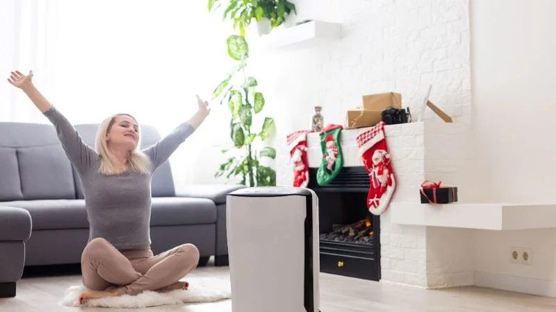 Ô nhiễm không khí là gì? Ô nhiễm không khí ở Việt Nam 33 Hạn chế nhiễm không khí bằng dùng máy lọc không khí