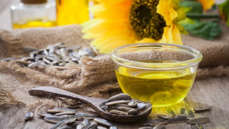Cách diệt kiến lửa trong nhà bằng phương pháp tự nhiên và sinh học 23 Cách diệt kiến lửa trong nhà bằng dầu hướng dương