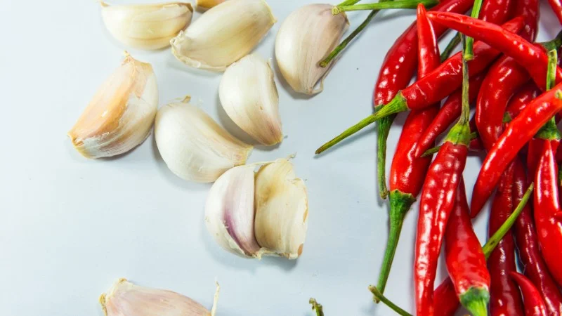 Top 4 cách diệt kiến vàng nhỏ xíu an toàn và hiệu quả nhất 12 Có bao nhiêu phương pháp diệt kiến vàng?