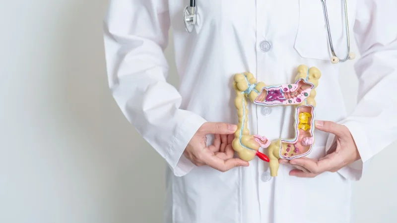 Dầu hạnh nhân, lợi ích và cách sử dụng tốt cho sức khỏe 27 Cải thiện hệ tiêu hóa