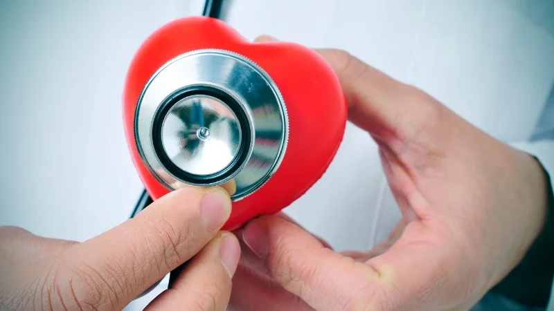 Dầu macca - Thần dược cho sức khỏe và sắc đẹp 33 Bảo vệ sức khoẻ tim mạch