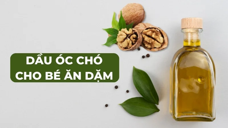 Có nên dùng dầu óc chó cho bé ăn dăm không?