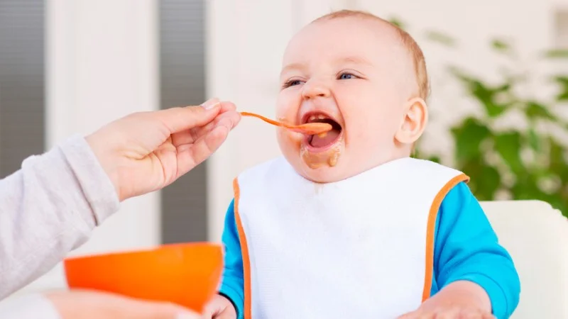 Dầu óc chó là gì? Có tác dụng tuyệt vời như nào? 18 Dùng cho bé ăn dặm