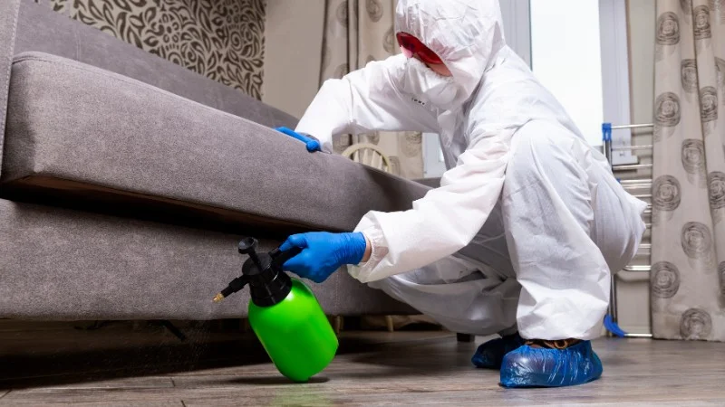 Tổng hợp 14 cách diệt kiến hôi, đuổi kiến hôi ra khỏi nhà 14 Cách diệt kiến hôi bằng thuốc và chất hóa học