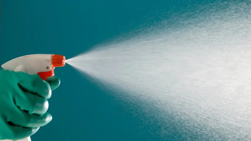 4 cách diệt kiến gió nhanh chóng, an toàn và hiệu quả bất ngờ 12 Diệt kiến gió bằng thuốc xịt kiến