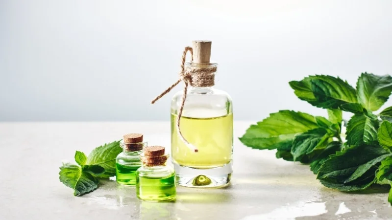 4 cách đuổi chuột bằng bột giặt an toàn, hiệu quả tức thì 12 Pha bột giặt, nước và tinh dầu bạc hà