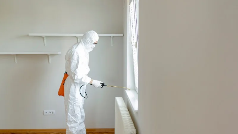 4 cách đuổi gián trong phòng ngủ đơn giản nhất 14 Đuổi gián bằng máy khử mùi, khử trùng