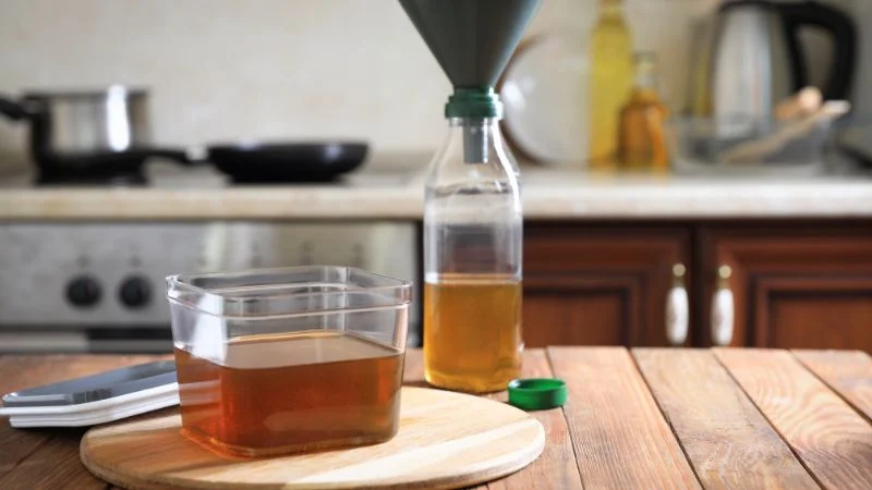 Các loại thực vật dùng để sản xuất dầu 19 Lọc dầu sau khi chiết xuất