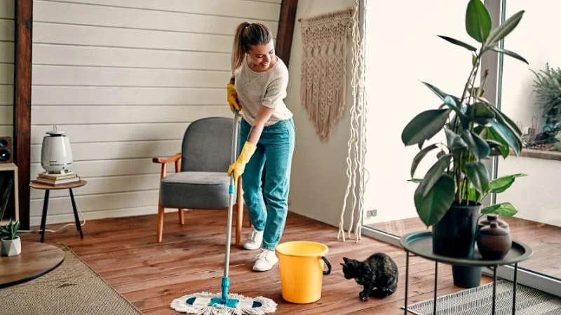 3 cách diệt kiến đen trong nhà, ưu-nhược điểm của 3 cách 19 Giữ nhà của bạn sạch sẽ