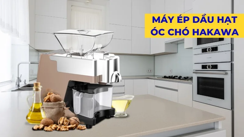 Dầu óc chó là gì? Có tác dụng tuyệt vời như nào? 20 Nên sử dụng dầu óc cho nguyên chất tự ép bằng máy tại nhà
