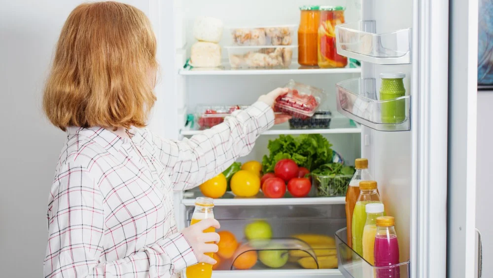 4 cách đuổi kiến ra khỏi đồ ăn hiệu quả và an toàn 17 Nên bảo quản đồ ăn thừa vào tủ lạnh