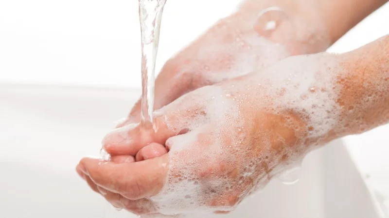 Thuốc xịt đuổi chuột có hiệu quả không? Có an toàn không? 12 Lưu ý nếu thuốc diệt chuột dính vào da nên rửa sạch ngay bằng nước