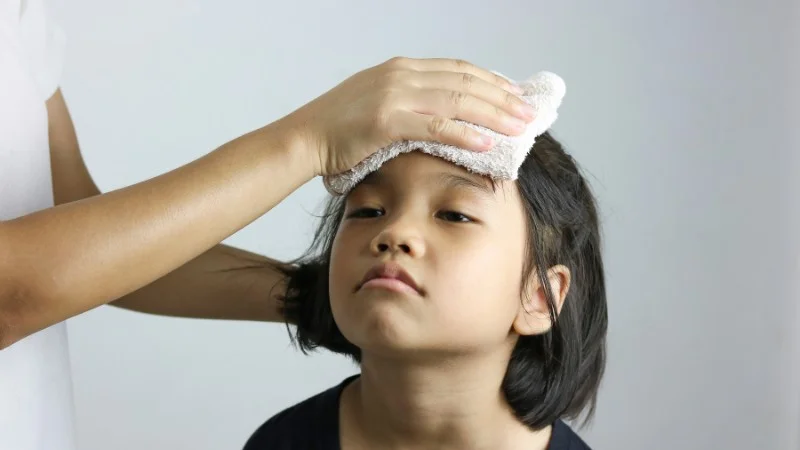 Dầu tía tô và 10 lợi ích tuyệt vời không phải ai cũng biết 52 Người bệnh cảm nóng không nên sử dụng