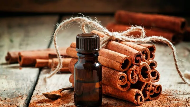 8 cách chống chuột vào xe ô tô mà ai cũng có thể làm được 20 Sử dụng tinh dầu đuổi chuột