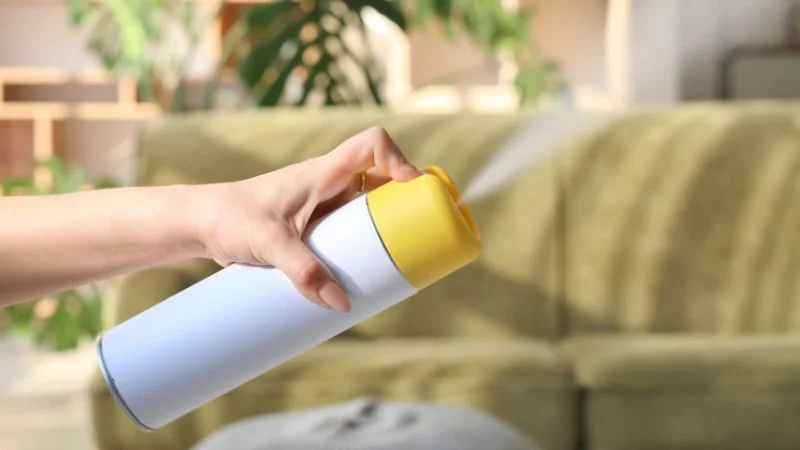Cách diệt kiến lửa trong nhà bằng phương pháp tự nhiên và sinh học 28 Thuốc diệt kiến lửa dạng xịt