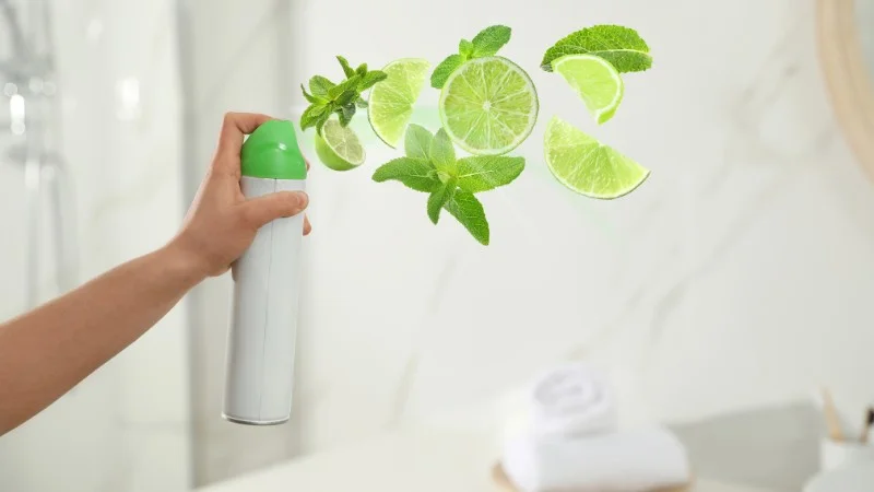 Thuốc xịt đuổi chuột có hiệu quả không? Có an toàn không? 8 Thuốc xịt đuổi chuột có hiệu quả không