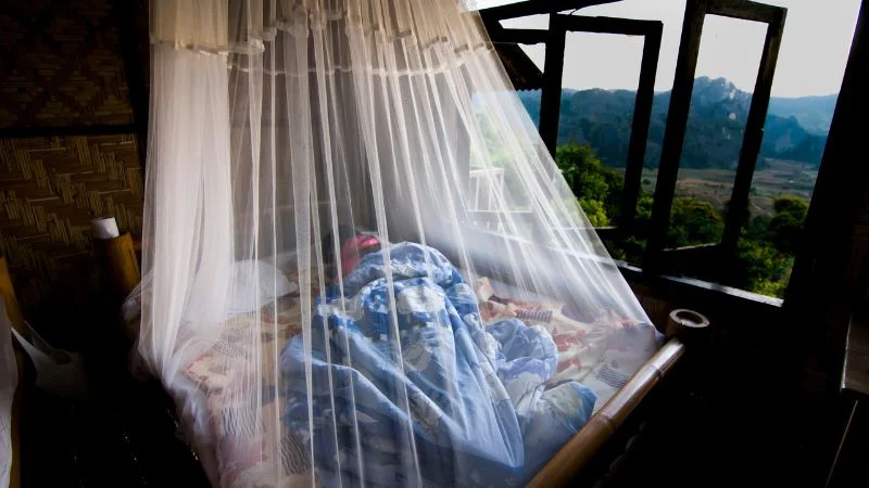 Cách đuổi muỗi trong phòng bằng dầu gió hiệu quả kinh ngạc 16 Bôi dầu gió lên chăn mền hoặc mùng ngủ