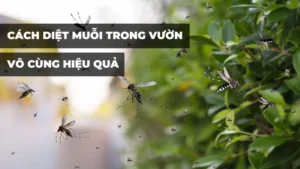 Cách diệt muỗi trong vườn vô cùng hiệu quả