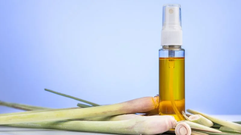 9 cách đuổi muỗi trong phòng ngủ bằng sả hiệu quả dễ làm 11 Dùng tinh dầu sả đuổi muỗi