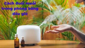 Cách đuổi muỗi trong phòng bằng dầu gió