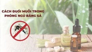 Cách đuổi muỗi trong phòng ngủ bằng sả dễ làm và hiệu quả