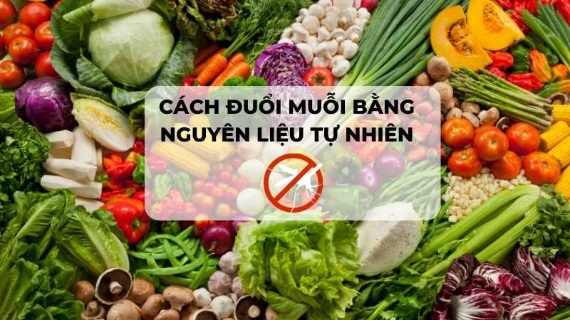 6 cách đuổi muỗi tự nhiên hiệu quả, an toàn không độc hại 10 Đuổi muỗi tự nhiên vô cùng hiệu quả