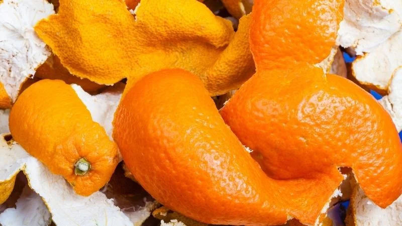6 cách đuổi muỗi tự nhiên hiệu quả, an toàn không độc hại 14 Đuổi muỗi tự nhiên bằng cách trồng cây