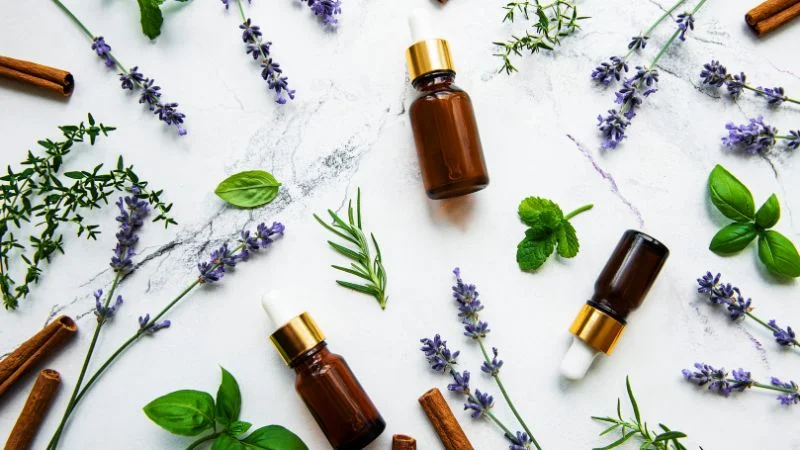 14 loại tinh dầu đuổi muỗi an toàn và hiệu quả nhất 19 Tinh dầu đuổi muỗi chiết xuất từ thực vật lành tính