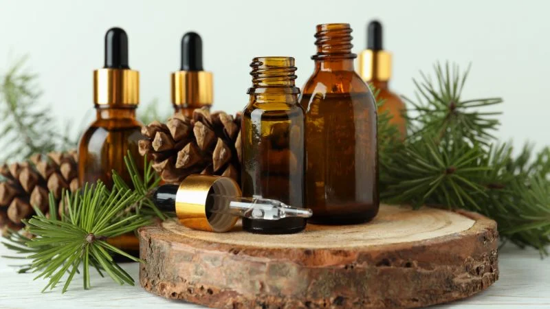 14 loại tinh dầu đuổi muỗi an toàn và hiệu quả nhất 25 Tinh dầu thông